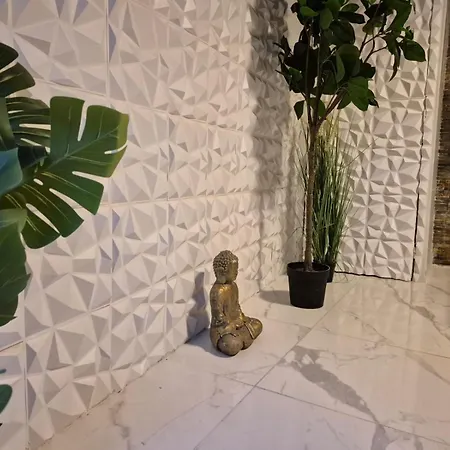 Et Sauna Privatif - Terrasse - Proche Cite Medievale דירה קרקסון