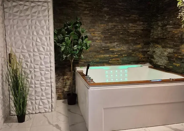 Apartamento Et Sauna Privatif - Terrasse - Proche Cité Médiévale